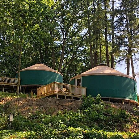 Circle M Camping Resort 16 Ft. Yurt 1 لانكاستر المظهر الخارجي الصورة